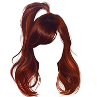 Hairstyle ponytail adult brown.