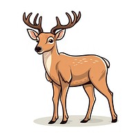 Deer Clip art wildlife cartoon drawing.