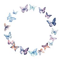 Butterfly circle border petal white background accessories.