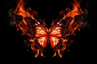 Butterfly fire flame black background.