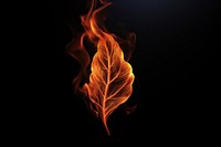 PNG Leaf fire flame black background.