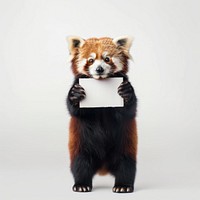 Red panda holding sign animal wildlife mammal.