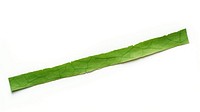 PNG Green lines adhesive strip plant leaf white background.