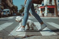 Young woman dog crosswalk walking.