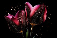 Tulip shape sparkle light glitter flower petal plant.