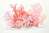 Coral Ocean outdoors painting nature.
