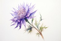 Wildflower drawing sketch plant.