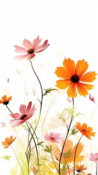 Cosmos flowers border outdoors pattern plant.