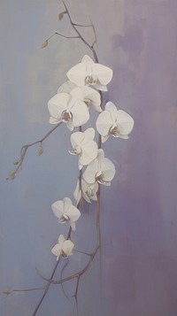 Orchid painting blossom flower.