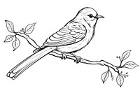 Bird sketch drawing line.