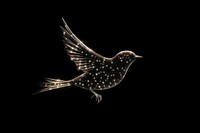 Bird shape sparkle light glitter animal flying black.
