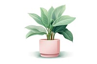 Plant pot vase leaf houseplant.