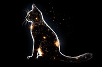 Cat sparkle light glitter animal mammal night.