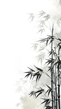 Chinese backgrounds bamboo plant.