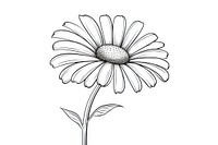 Daisy sketch drawing flower.