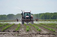 Tractor spraying pesticides tractor field agriculture.