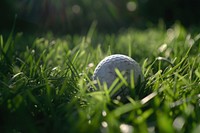Golf ball grass outdoors nature.