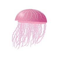 PNG Jellyfish icon jellyfish transparent pink.