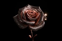 Rose shape sparkle light glitter flower plant black background.