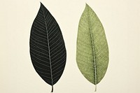 Leaf plant tree pattern.