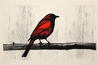 Bird animal black red.