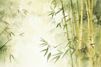 Bamboo backgrounds plant green.