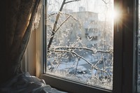 Winter windowsill outdoors nature.