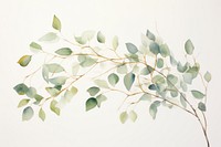 Eucalyptus tree watercolor background plant green leaf.