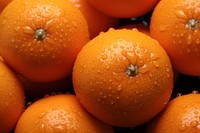 Pile of oranges grapefruit plant food.