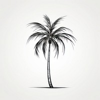 Palm tree sketch plant line.