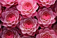 Pink lotus pattern flower petal.