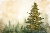 Pine tree watercolor background outdoors nature forest.