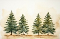 Pine tree watercolor background nature forest plant.