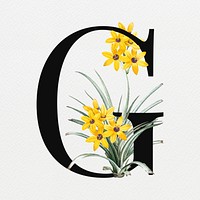 Floral letter G digital art illustration
