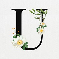 Floral letter U digital art illustration