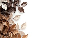 Coffee plant petals plants border origami paper backgrounds.