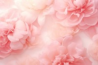 Peonies gradient background backgrounds abstract flower.