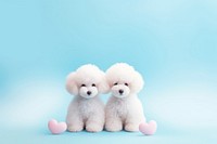 Poodle love gradient background mammal animal puppy.
