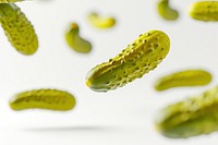 Pickles magnification microbiology medicine.