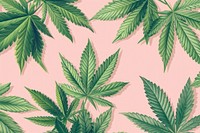 Realistic hand drawing of cannabis backgrounds pattern plant.
