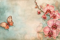 Orchid flower and butterfly backgrounds sketch petal.