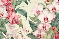 Vintage drawing of orchid flower pattern backgrounds plant petal.