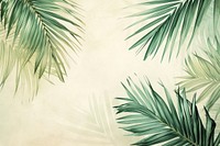 Vintage drawing of palm leaves backgrounds outdoors nature.