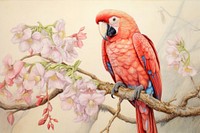 Parrot painting drawing animal.