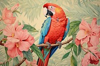 Parrot flower animal plant.