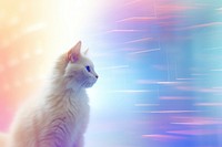 Metaverse cat on bright background animal mammal kitten.