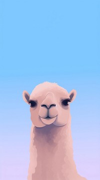 Camel selfie cute wallpaper animal cartoon mammal.