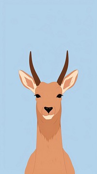 Antelope selfie cute wallpaper animal wildlife antelope.