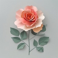 Rose art flower petal.
