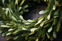 Making Wreaths wreath christmas plant.